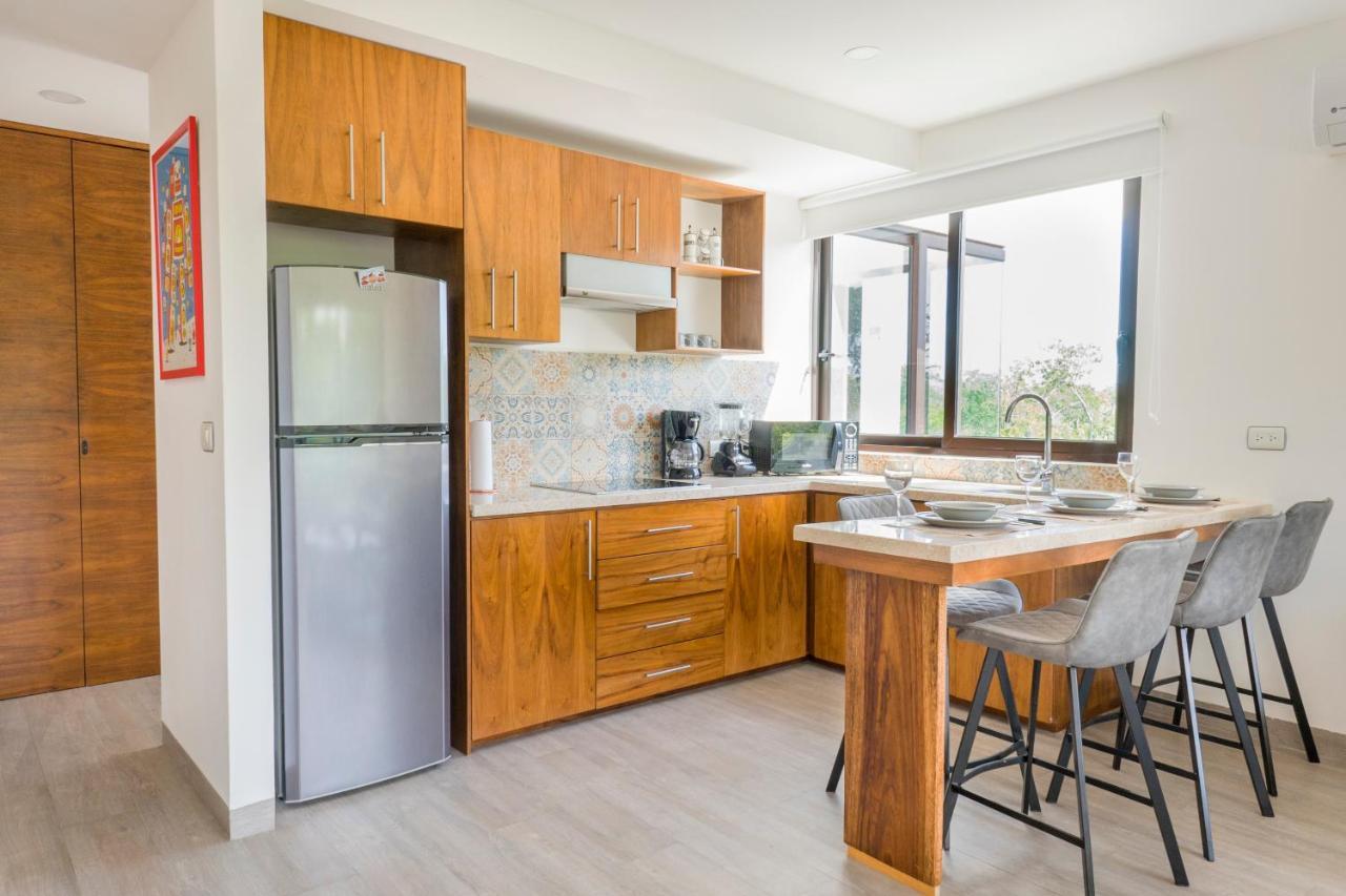 Apartment Penthouse Private Roof Top La Veleta